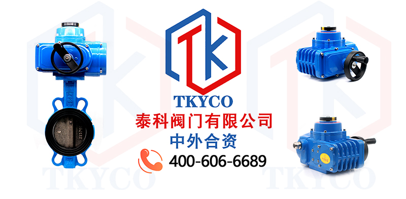 1679967953.jpg 电动对夹蝶阀拼图.jpg
