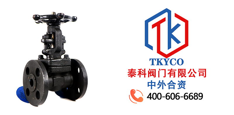 1694569837.jpg 软密封闸阀拼图尼必可.jpg