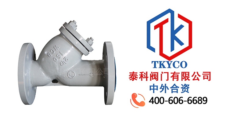 美标铸钢Y型过滤器拼图尼必可.jpg