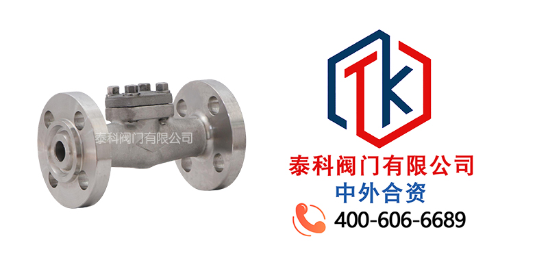 1772592317500598.jpg 不锈钢旋启式止回阀拼图尼必可.jpg